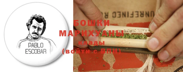 индика Новозыбков