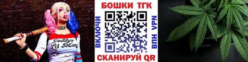 закладка  Иноземцево  Канабис сатива 